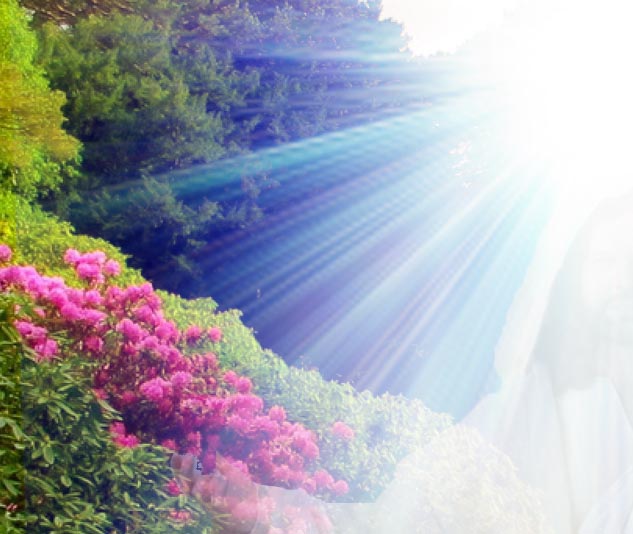 click to see larger version